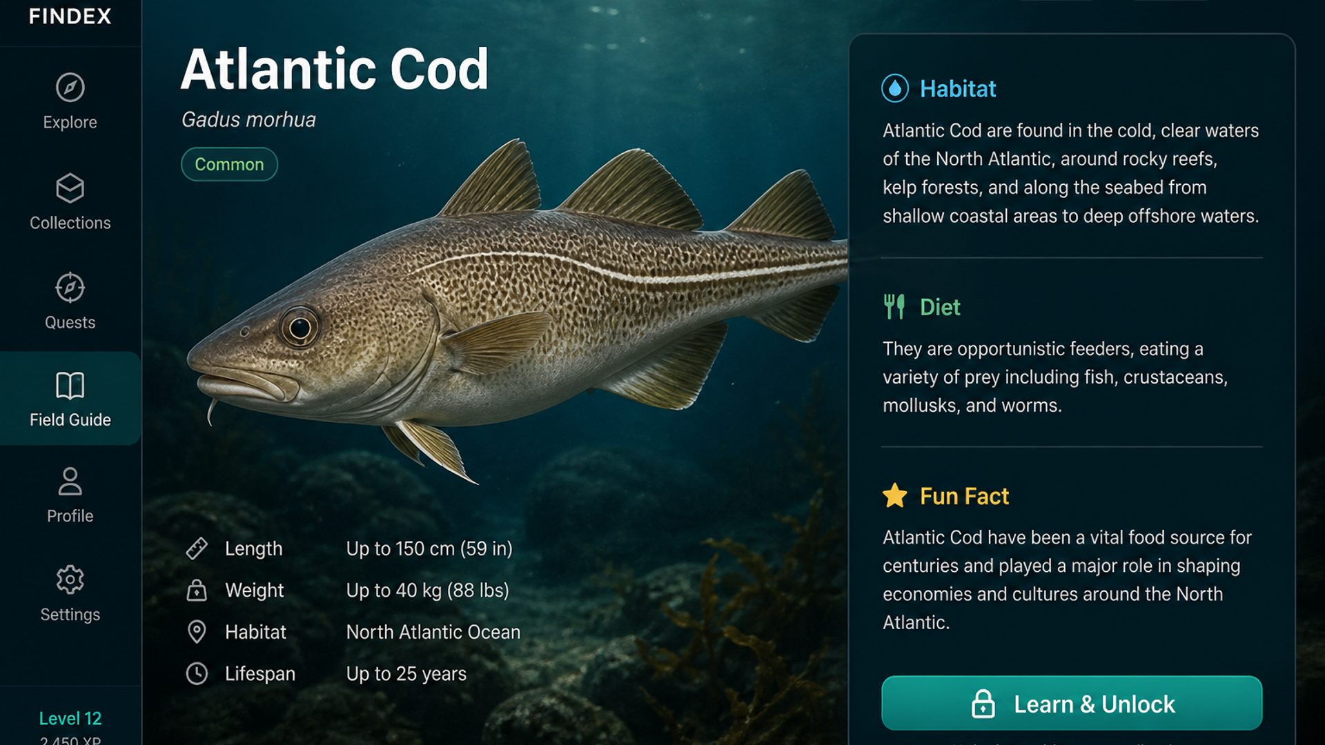 Findex: Fish Atlas screenshot 4