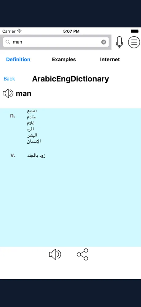 Arabic English Dictionary - ArEngDict: iPhone app screen 2