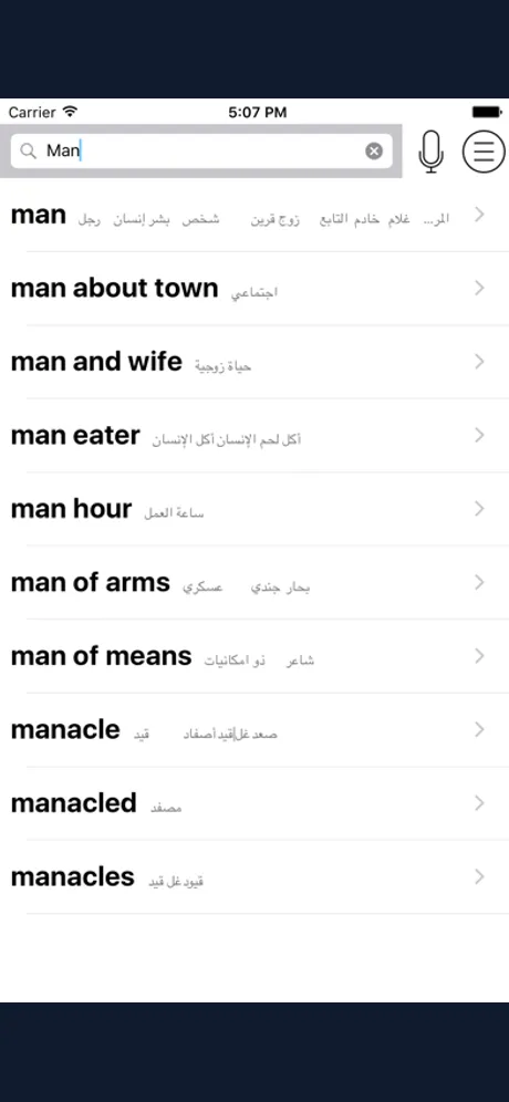 Arabic English Dictionary - ArEngDict：iPhone 應用程式畫面 1