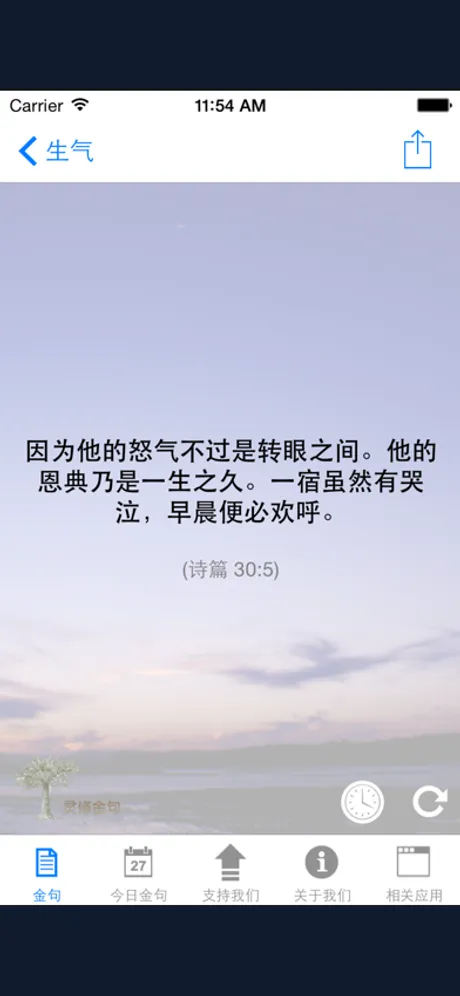 Bible Verses — Simplified Chinese: iPhone app screen 3