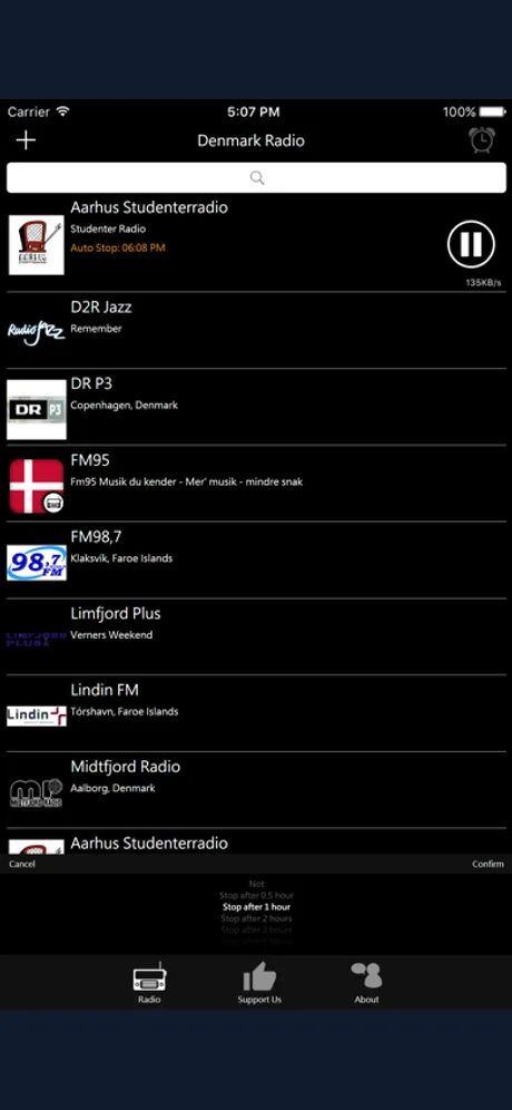 Danish Radio - Dansk Radio: iPhone app screen 3