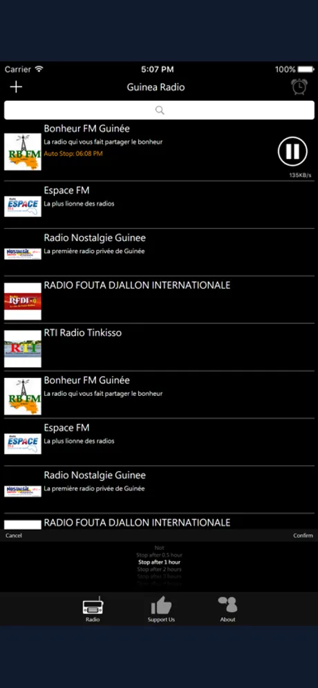 Guinea Radio: iPhone app screen 3