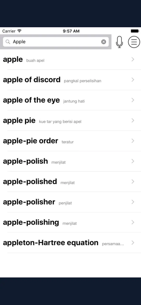 Indonesian English Dictionary - IndoEngDict：iPhone 應用程式畫面 1