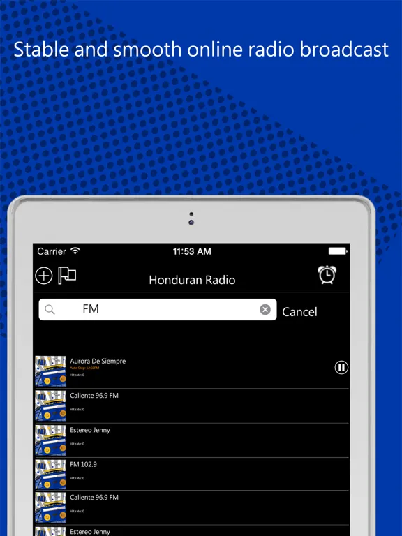 Online Radio World: iPad app screen 6