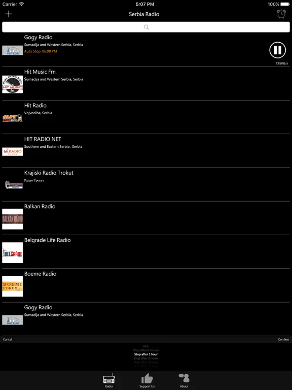 Serbian Radio - RS Radio: iPad app screen 8