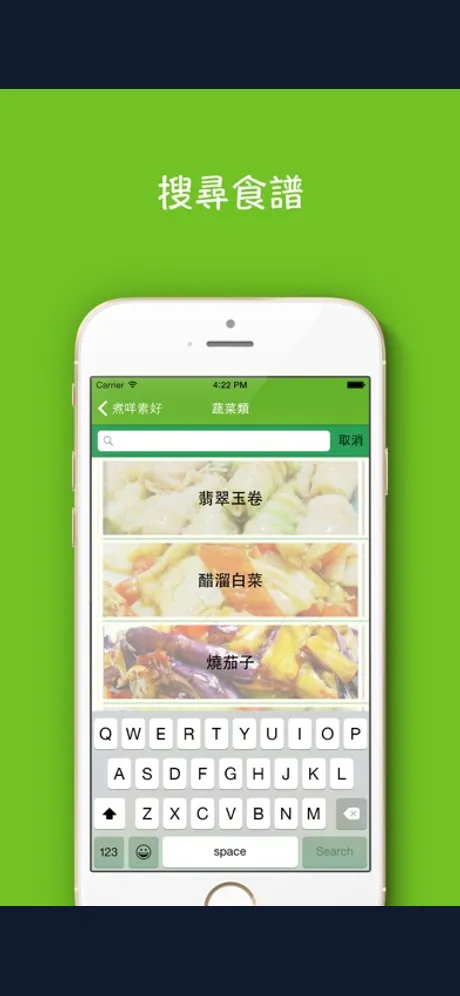 Vegetarian Recipes: iPhone app screen 8